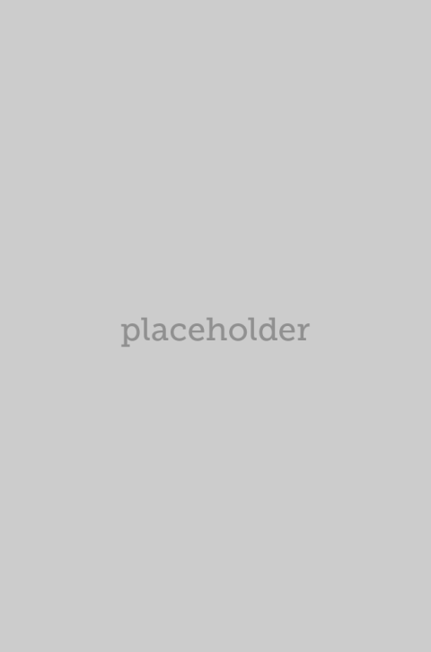 Placeholder 1